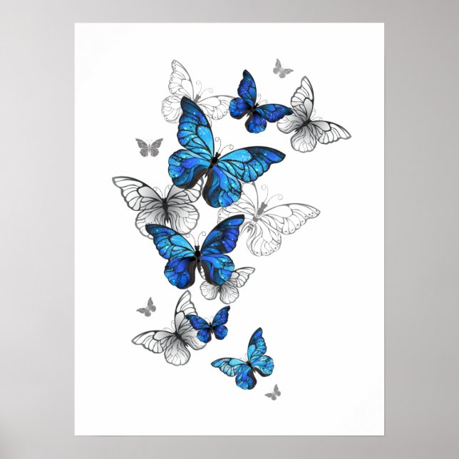 Affiche Papillons volants bleus Morpho (Devant)