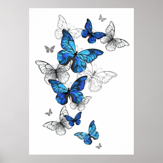 Affiche Papillons volants bleus Morpho (Devant)
