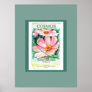 Affiche Paquet de semences Cosmos