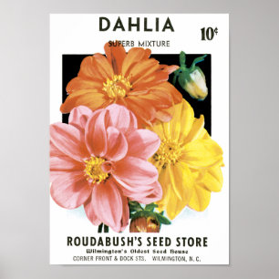 Affiche Paquet de semences vintage, Fleurs de jardin Dahli