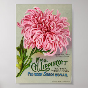 Affiche Paquet vintage de graines de fleurs, vers 1911