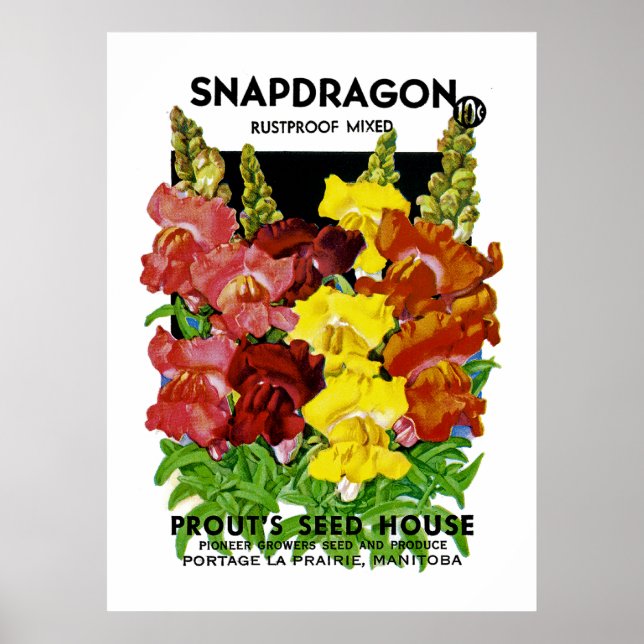 Affiche Paquet Vintage de semences Snapdragon (Devant)