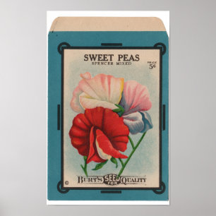Affiche Paquets vintages de graine
