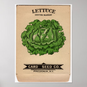 Affiche Paquets vintages de graine