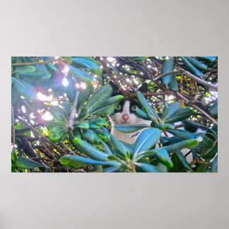 Affiche Par Les Feuilles