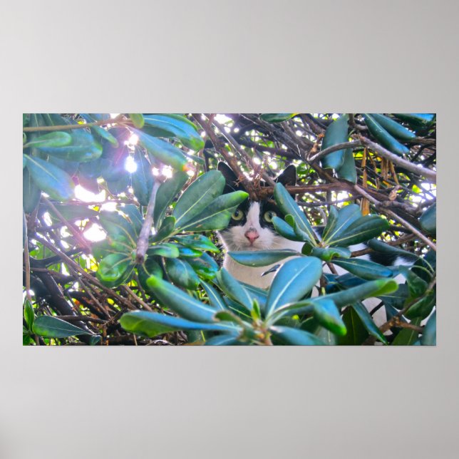 Affiche Par Les Feuilles (Devant)