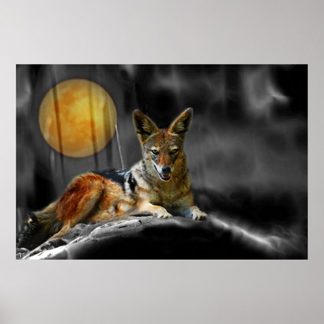 Affiche Par Lumière Lune (Devant)