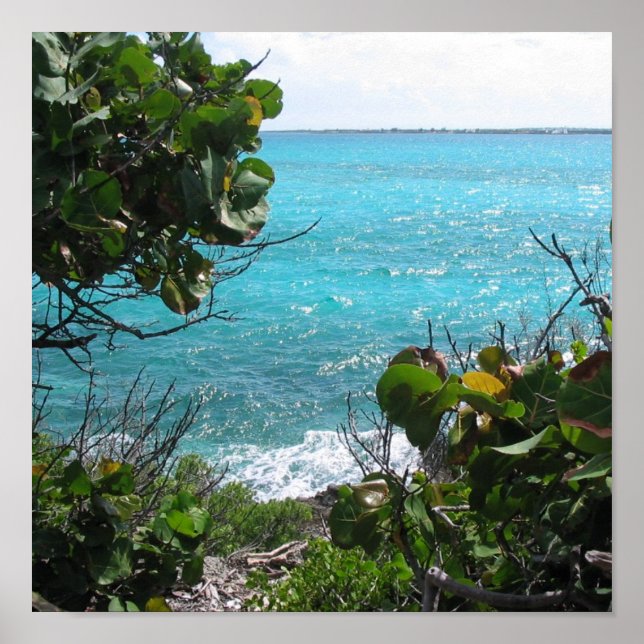 Affiche Paradis (Devant)