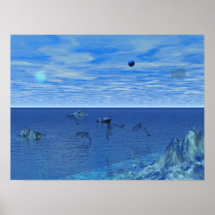 Affiche Paradis de dauphin