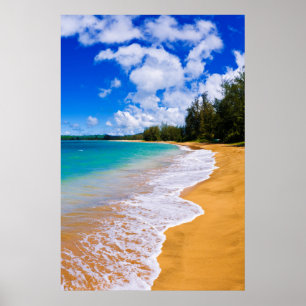 Affiche Paradis de plage tropical, Hawaï