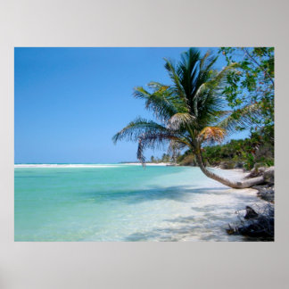 affiche paradis de plage tropicale DE 8.60
