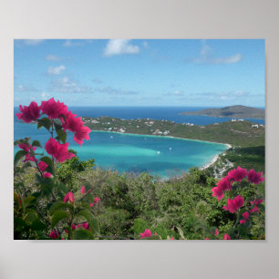 Affiche Paradis des Caraïbes Photo de plage tropicale