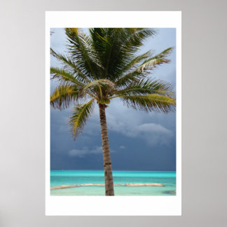 Affiche Paradis orageux