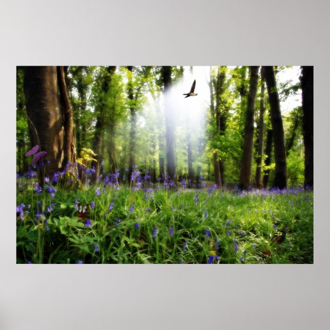 affiche paradis trouvé (Devant)