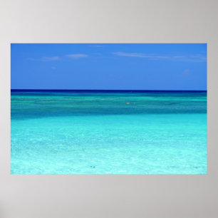 Affiche Paradis Vert Bleu
