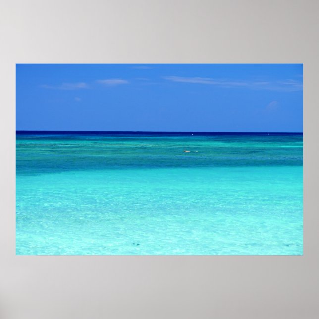 Affiche Paradis Vert Bleu (Devant)