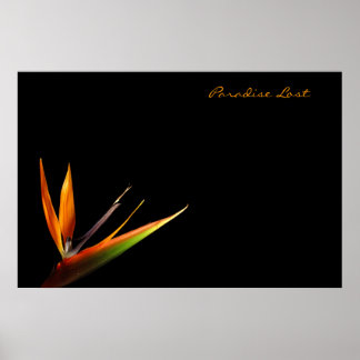 Affiche Paradise Lost