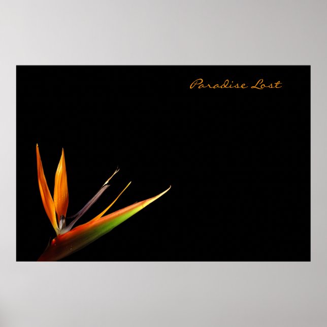 Affiche Paradise Lost (Devant)