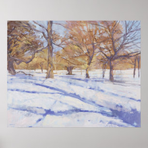 Affiche Parc de Richmond d'hiver