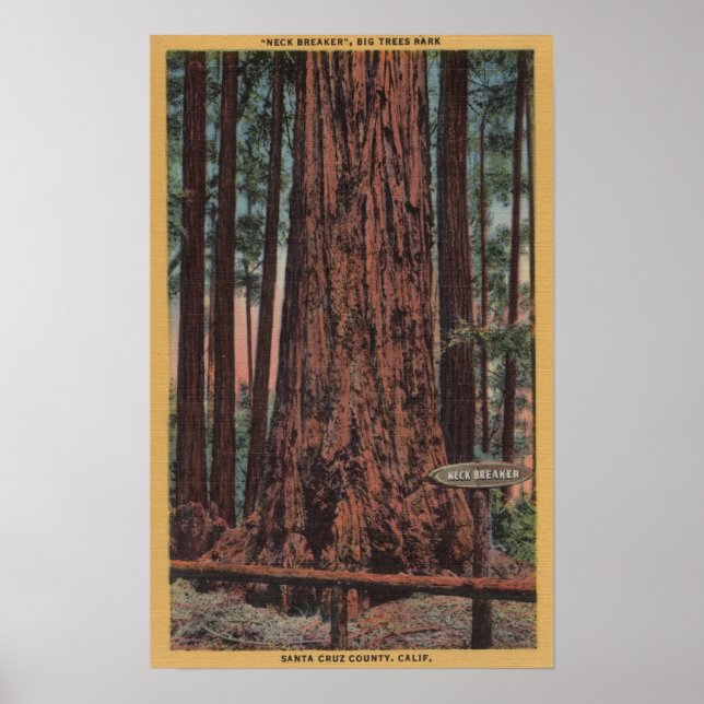 Affiche Parc d'état Big Trees, CA - Arbre briseur de cou (Devant)