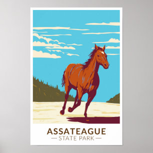 Affiche Parc d'état d'Assateague Maryland