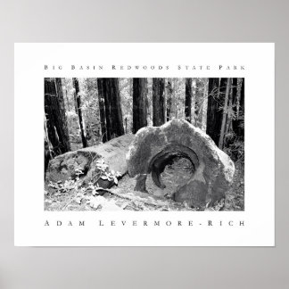 Affiche Parc d'état de Big Basin Redwoods