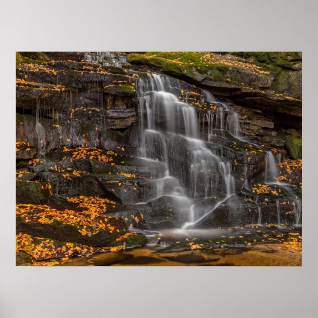 Affiche Parc d'État de Blackwater Falls (Devant)