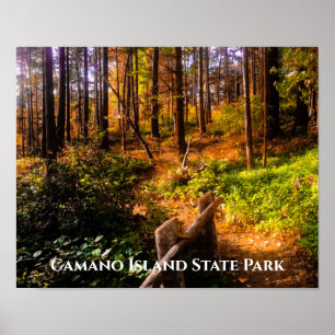 Affiche Parc d'état de Camano Island à l'automne