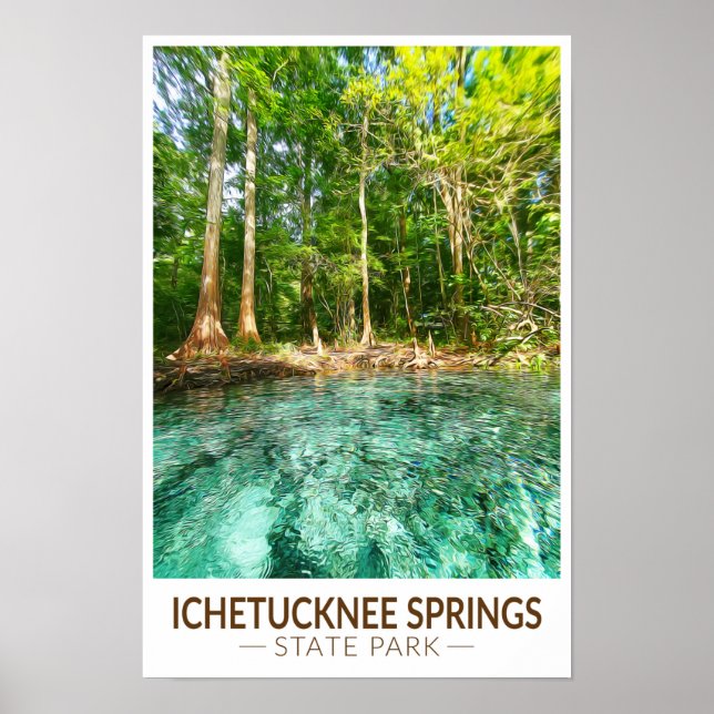 Affiche Parc d'État des sources de Ichetucknee Floride aqu (Devant)