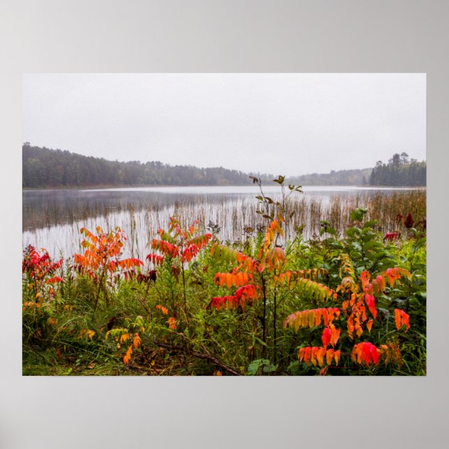 Affiche Parc d'état d'Itasca | Minnesota (Devant)