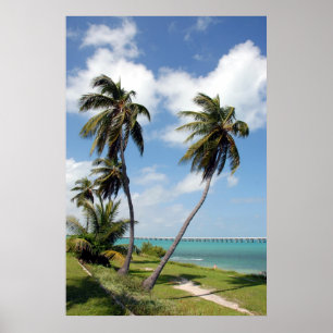 Affiche Parc d'état du Bahia Honda et pont de sept milles