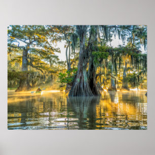 Affiche Parc d'état du lac Fausse-Pointe