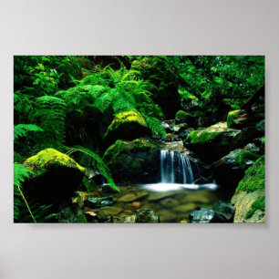 Affiche Parc d'état du Mont Tamalpais, CA