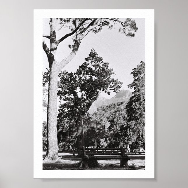 Affiche Parc du Cap Nature Mountain Afrique du Sud ZA (Devant)