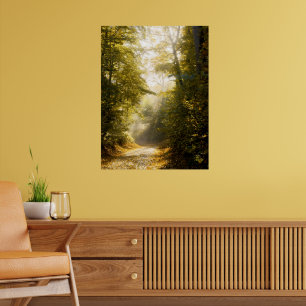 Affiche Parc Golden Morning, Photographie d'art original f