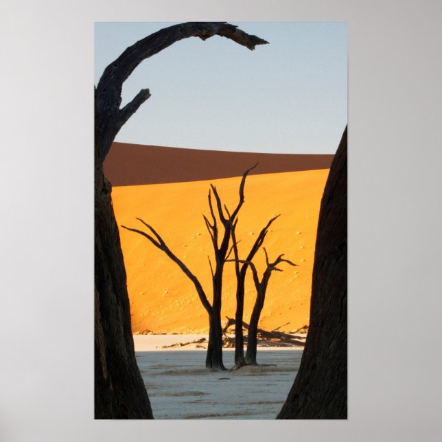 Affiche Parc Namib-Naukluft, Sossusvlei | Dead Vlei (Devant)
