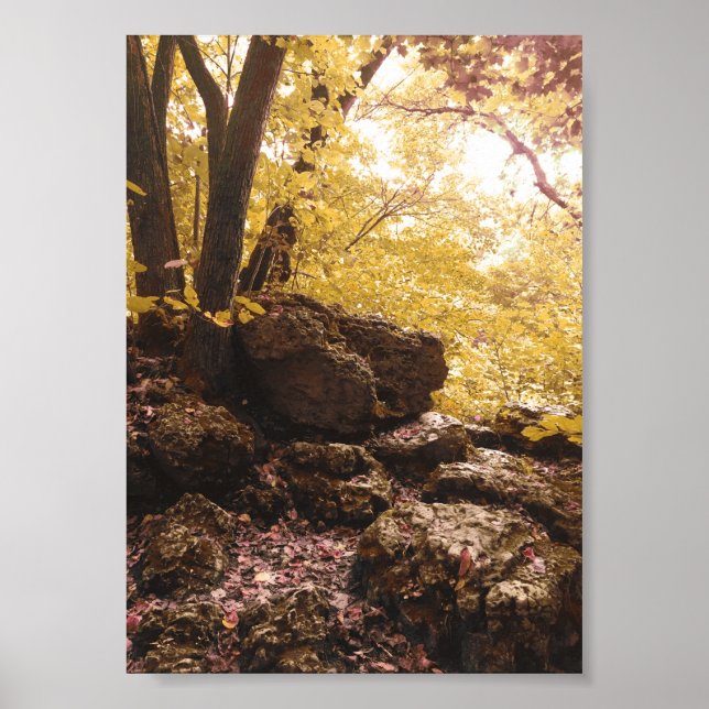 Affiche parc national backbone iowa (Devant)