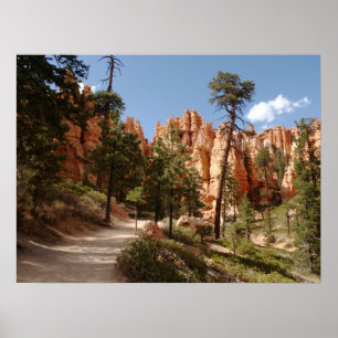 Affiche Parc national Bryce Canyon Trail