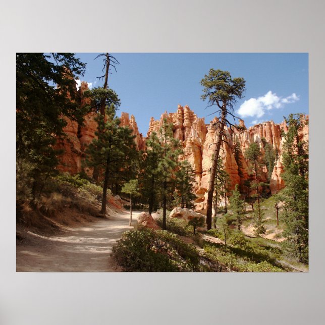 Affiche Parc national Bryce Canyon Trail (Devant)