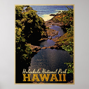 Affiche Parc national de Haleakala Hawaii