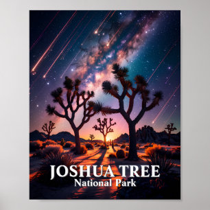 Affiche Parc national de Joshua Tree Nuit Ciel Voie lactée