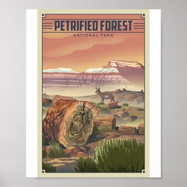 Affiche Parc national de la Forêt Petrifiée Litho (Devant)