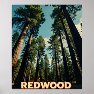 Affiche Parc national de Redwood Californie Vintage