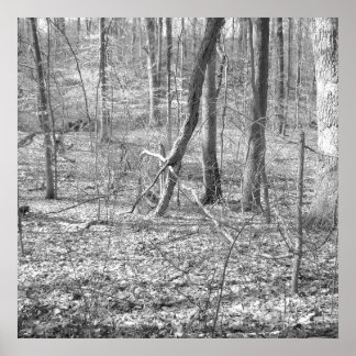 Affiche Parc national de Ridley Creek