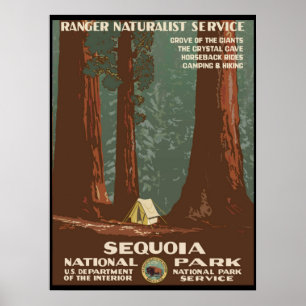 Affiche Parc national de Sequoia