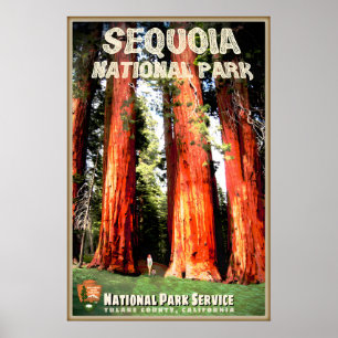 Affiche Parc national de Sequoia Tulare County Californie 