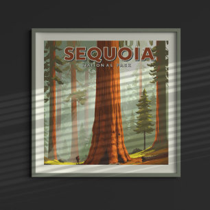 Affiche Parc national de Sequoia vintage