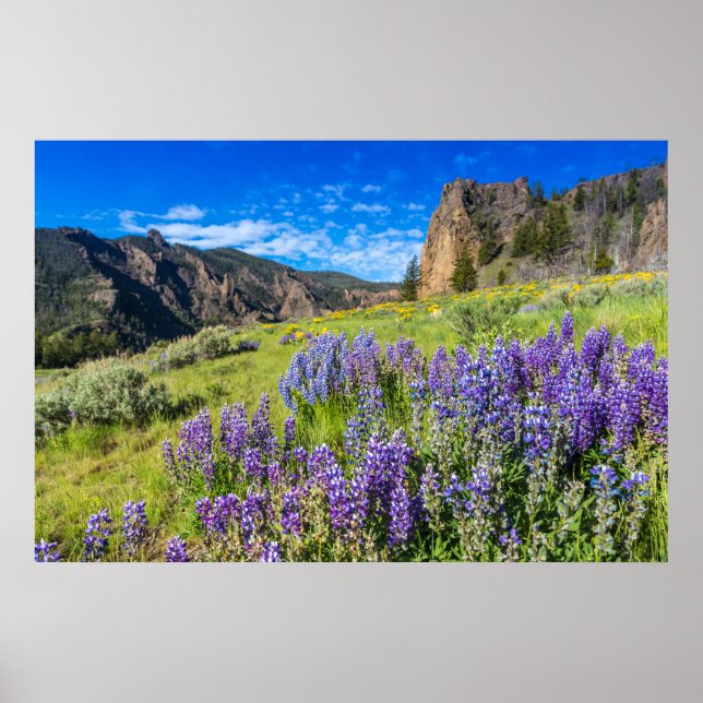 Affiche Parc national de Yellowstone Paysage Fleur sauvage (Devant)
