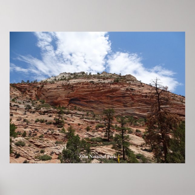 Affiche Parc national de Zion (Devant)