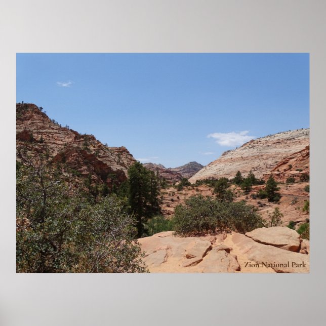 Affiche Parc national de Zion (Devant)